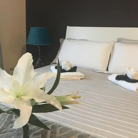 Dream Comfy 公寓 拉拉古纳
